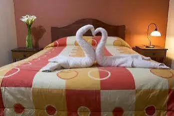 Catama